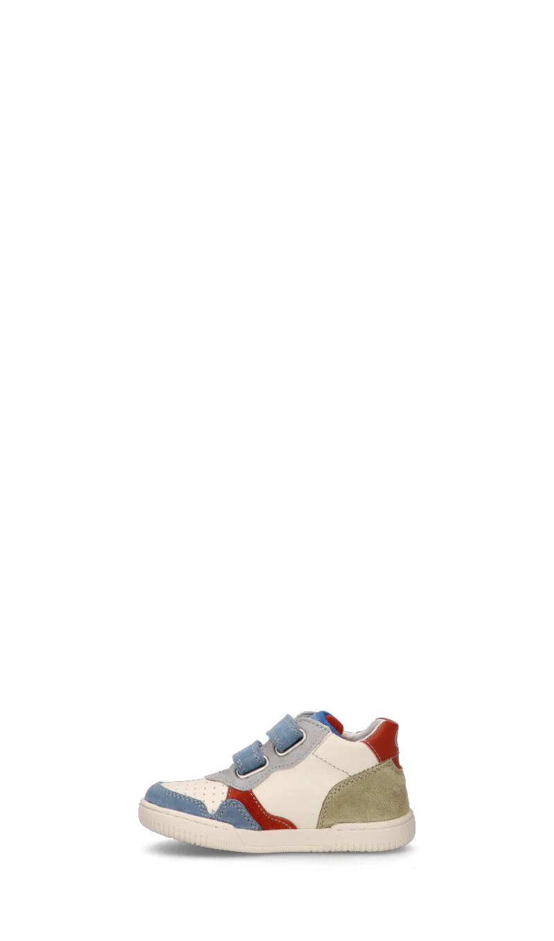 FALCOTTO - Image 4