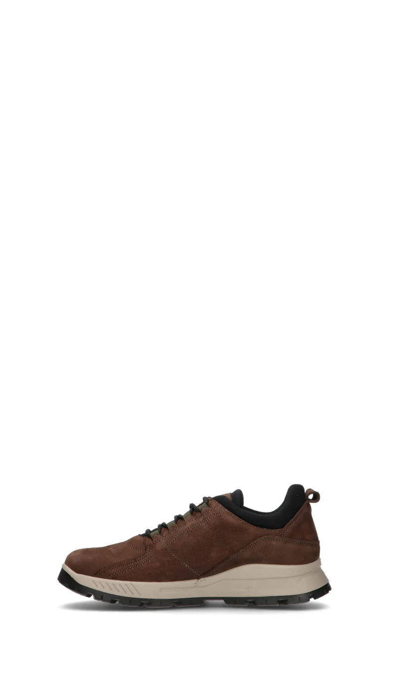 IGI&CO Sneaker uomo caffè in gore-tex - Image 4