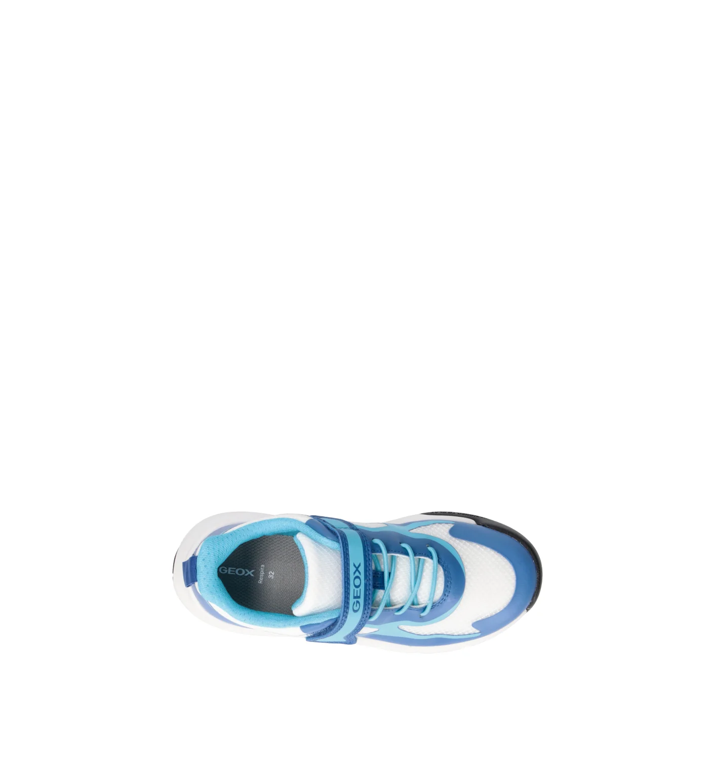 GEOX Sneaker bimbo blu - Image 5