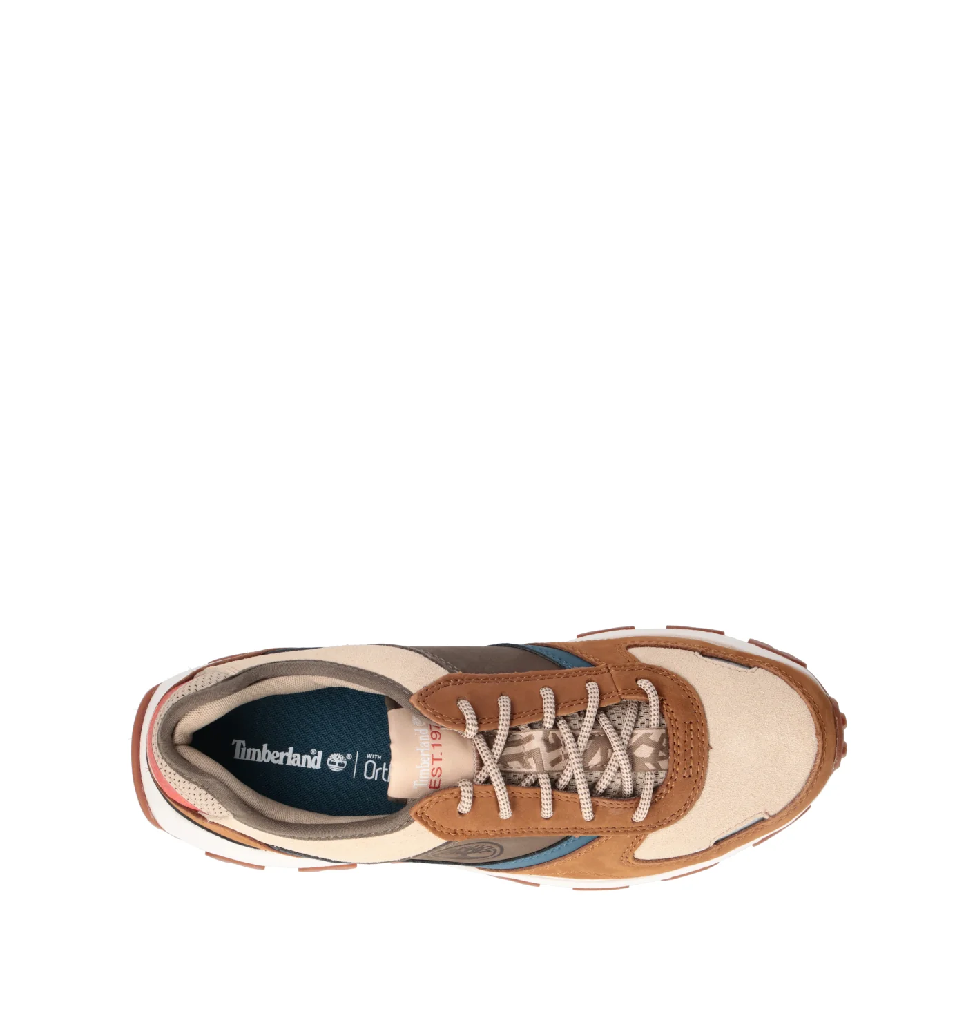 TIMBERLAND Sneaker uomo - Image 5