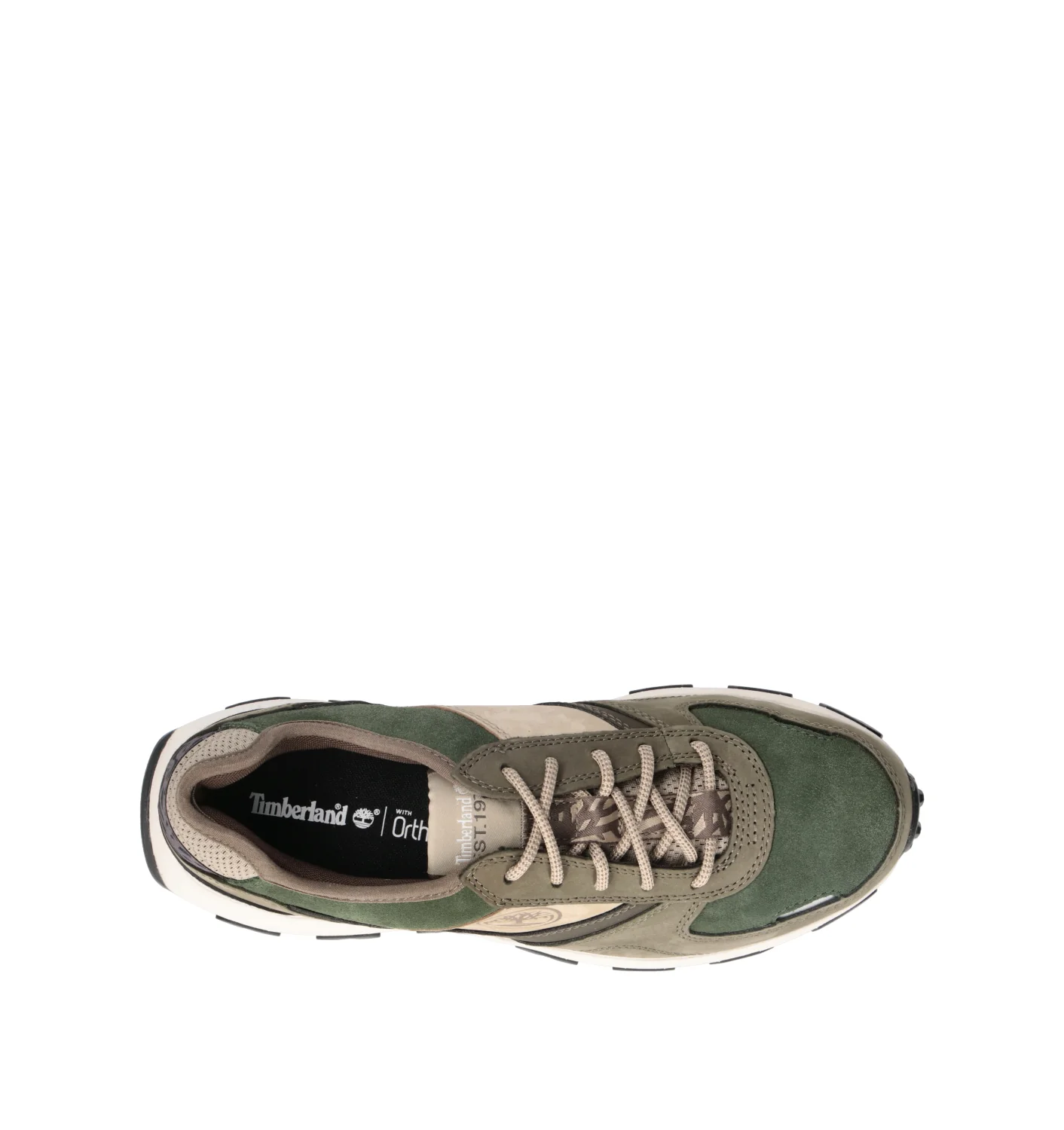TIMBERLAND Sneaker uomo - Image 5