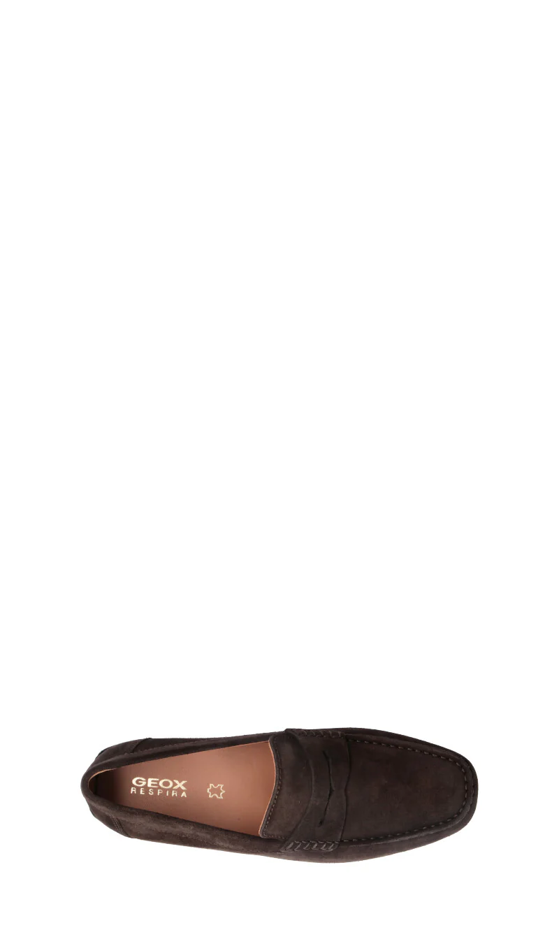 GEOX Mocassino uomo marrone in suede - Image 5