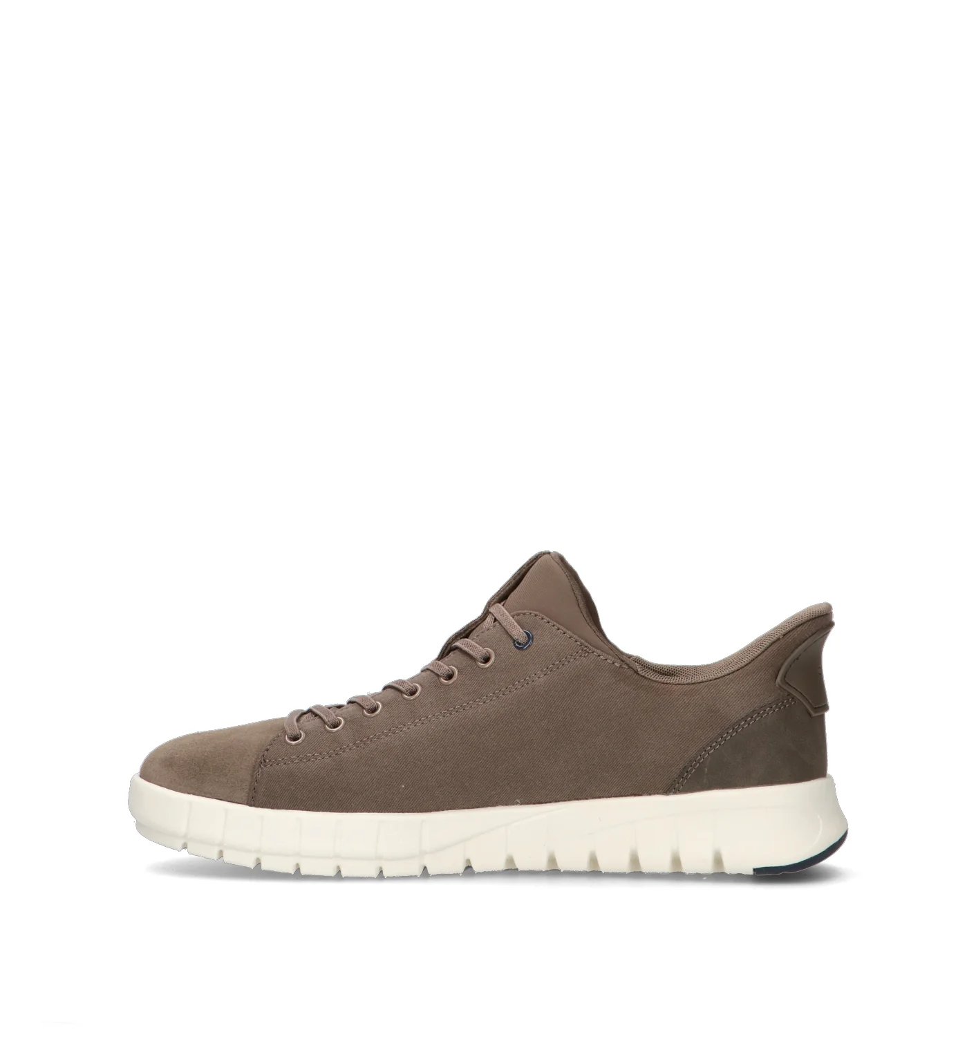 GEOX Sneaker uomo taupe - Image 4